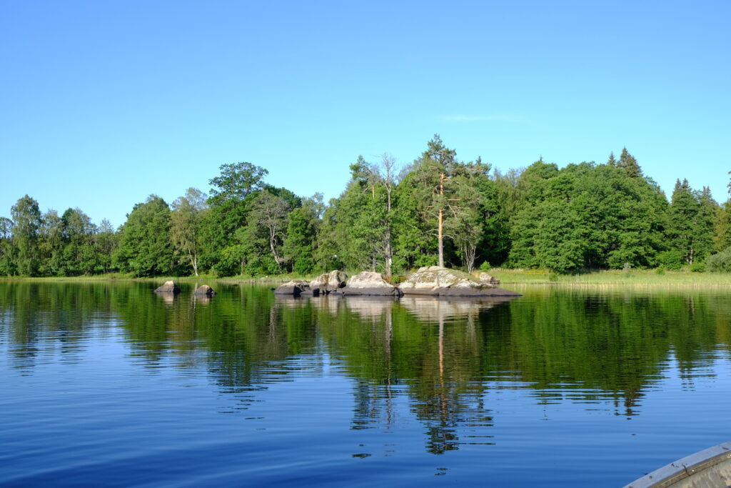 Träd längst med vattenbrynet vid en sjö.